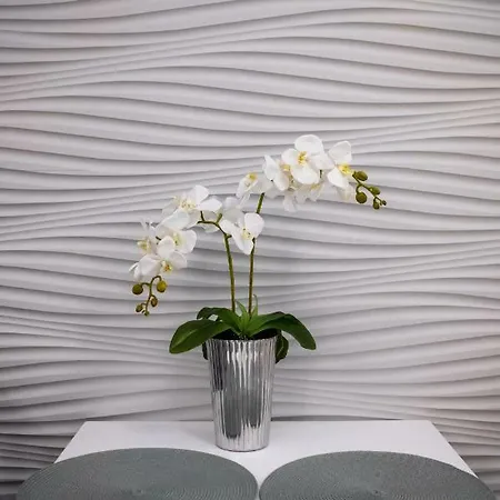 Rynek Sienny 2 Apartment *