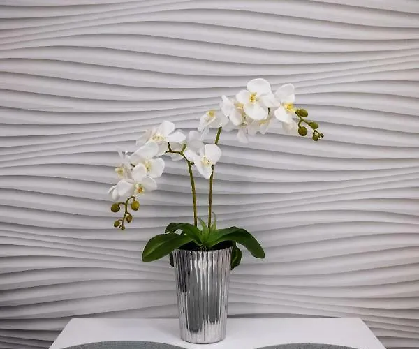 Rynek Sienny 2 Apartament *